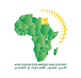 Afri-vision logo
